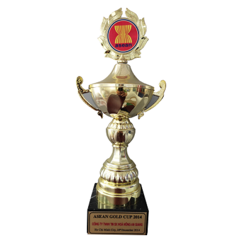 V. Thành tựu của công ty